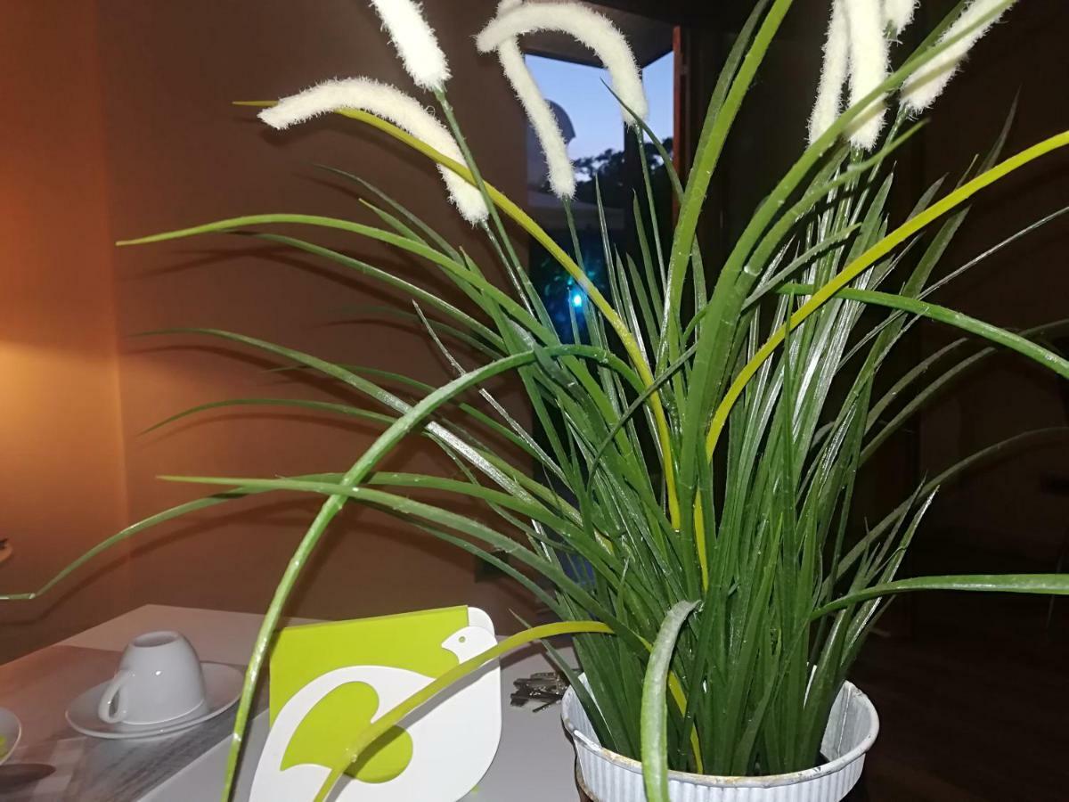 Acomodação com café da manhã  Elisir 3*